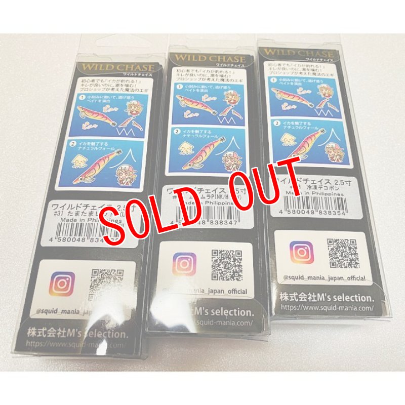 画像2: WILD CHASE 2.5号[アオリやイカメタルに！] (2)