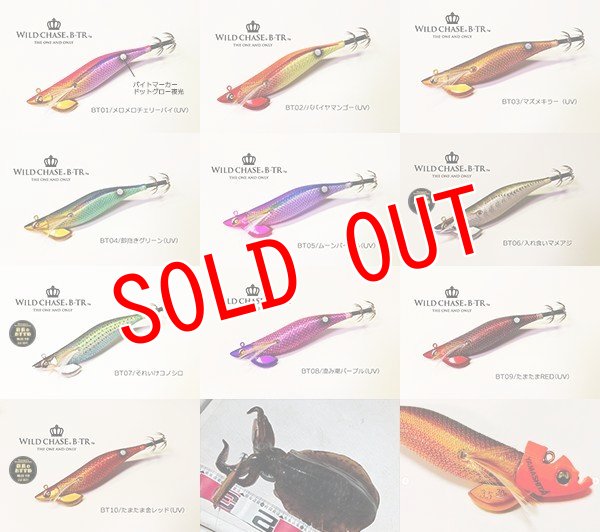 ワイルドチェイス3.5号　3.0号詰め合わせ　エギホルダー付き ワイルドチェイス3.5号 3.0号詰め合わせ エギホルダー付き