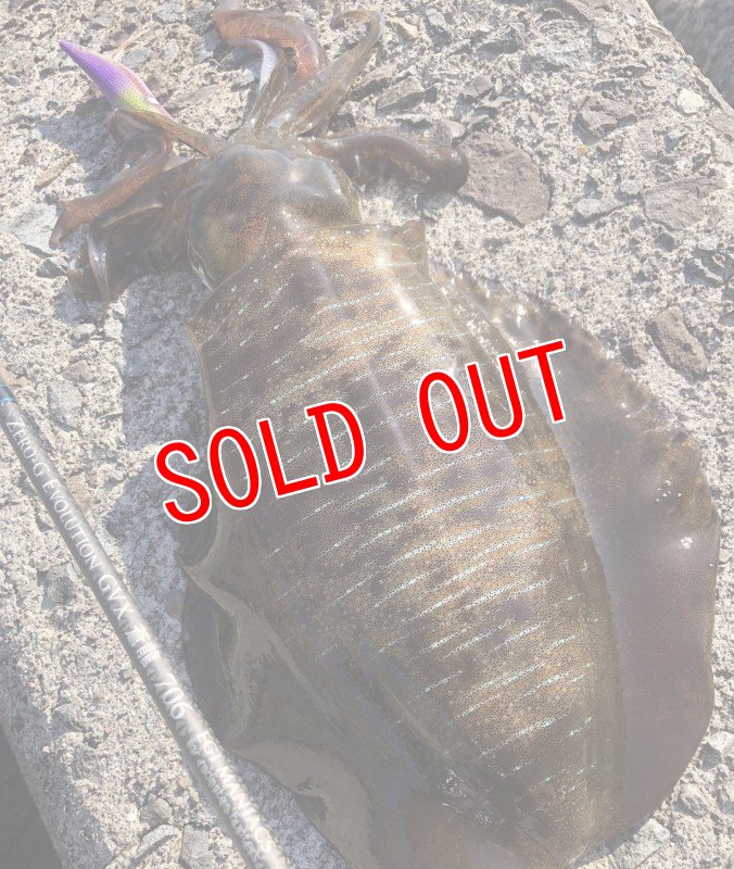 画像5: WILD CHASE 3.5号　ほなけんパープル【特注87works】 (5)