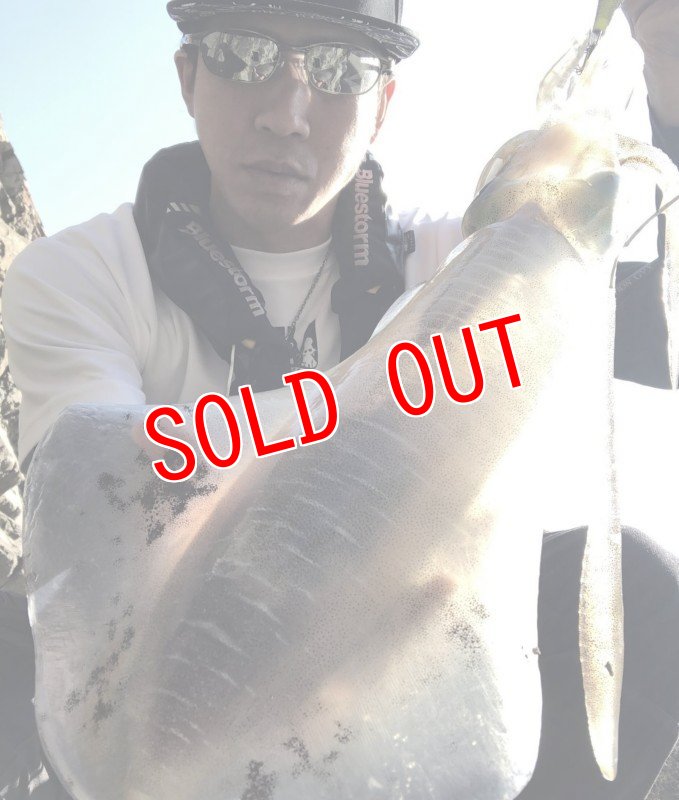 画像5: WILD CHASE 3.5号　いけるでレッド【特注87works】 (5)