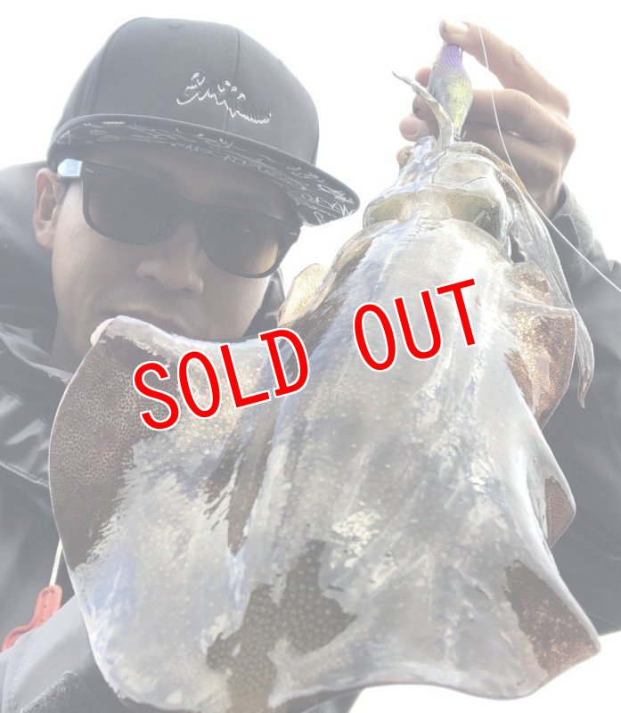 画像3: WILD CHASE 3.5号　ほなけんパープル【特注87works】 (3)