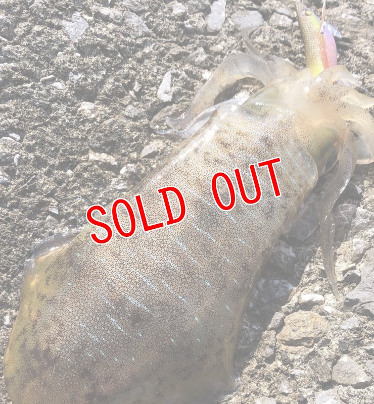 画像3: WILD CHASE 3.5号　いけるでレッド【特注87works】 (3)