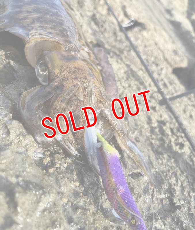 画像4: WILD CHASE 3.5号　ほなけんパープル【特注87works】 (4)