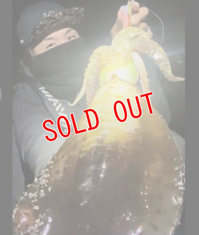 画像2: WILD CHASE 3.5号　いけるでレッド【特注87works】 (2)