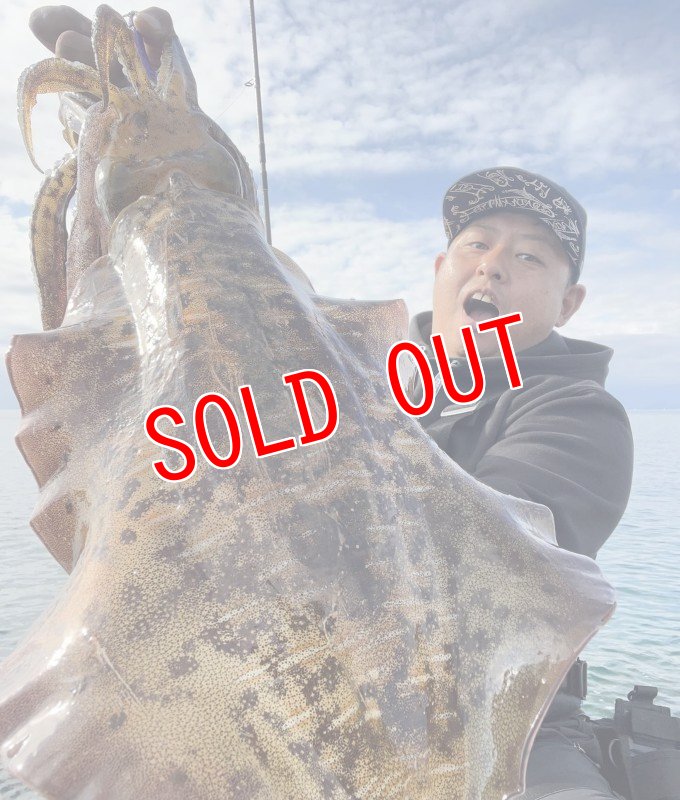 画像2: WILD CHASE 3.5号　ほなけんパープル【特注87works】 (2)