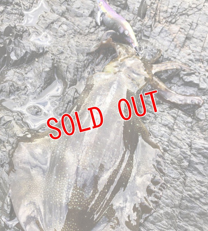 画像6: WILD CHASE 3.5号　ほなけんパープル【特注87works】 (6)