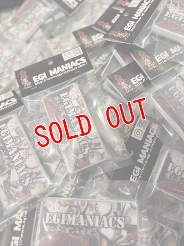 画像3: EGI MANIACS マルチケース（小物用） (3)