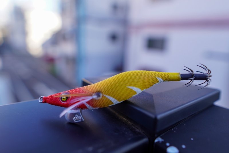 画像4: 【PRICE DOWN】WILD CHASE2.5号 　イカメタル・オモリグ　BONEシリーズ【EGI MANIACS 特注カラー】 (4)