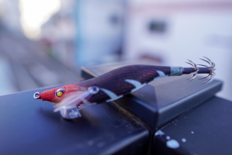 画像6: 【PRICE DOWN】WILD CHASE2.5号 　イカメタル・オモリグ　BONEシリーズ【EGI MANIACS 特注カラー】 (6)