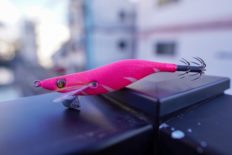 画像3: 【PRICE DOWN】WILD CHASE2.5号 　イカメタル・オモリグ　BONEシリーズ【EGI MANIACS 特注カラー】 (3)