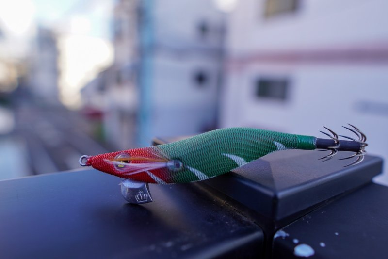 画像2: 【PRICE DOWN】WILD CHASE2.5号 　イカメタル・オモリグ　BONEシリーズ【EGI MANIACS 特注カラー】 (2)