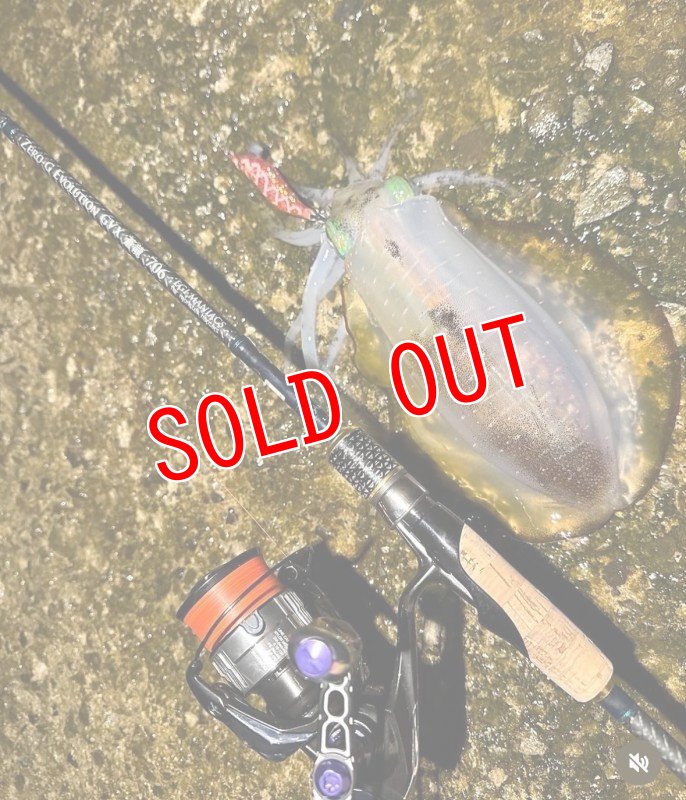 画像5: EGI MANIACS 限定カラー　X8-PE  0.6-200m  『Coral Gradation』 (5)