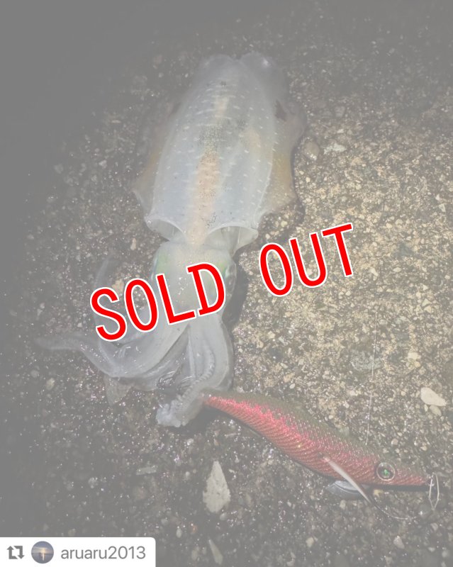 画像8: WILD CHASE 3.5号　アロワナレッド【特注87works】 (8)