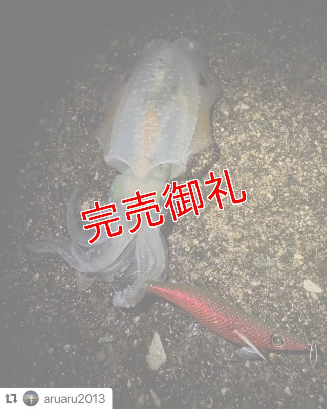 画像8: WILD CHASE 3.0号　アロワナレッド【特注87works】 (8)