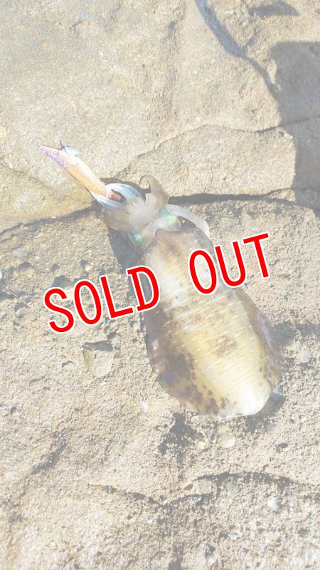 画像11: WILD CHASE 3.5号　アロワナゴールド【特注87works】 (11)