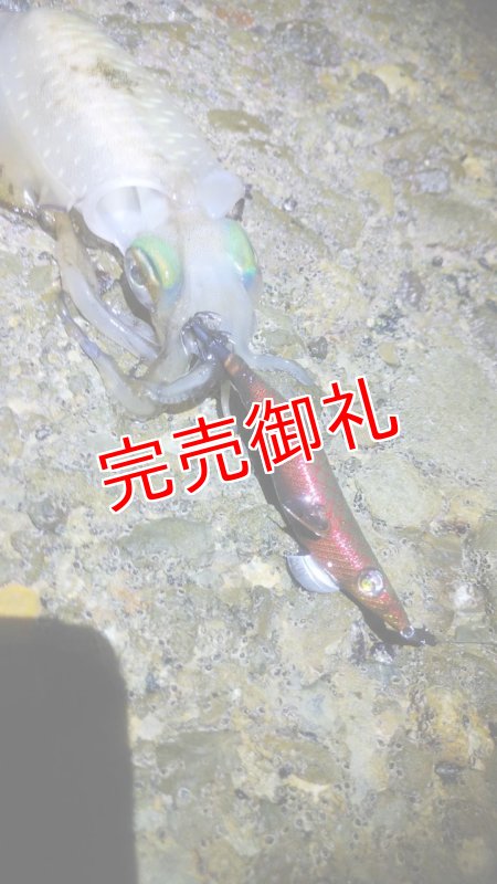 画像4: WILD CHASE 3.0号　アロワナレッド【特注87works】 (4)