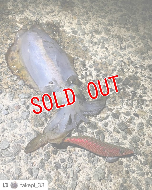 画像9: WILD CHASE 3.5号　アロワナレッド【特注87works】 (9)