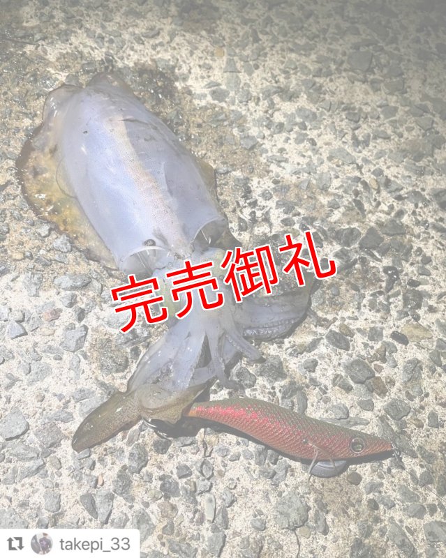 画像9: WILD CHASE 3.0号　アロワナレッド【特注87works】 (9)