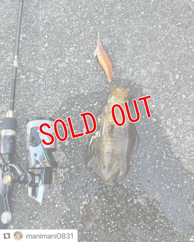 画像6: WILD CHASE 3.5号　アロワナゴールド【特注87works】 (6)