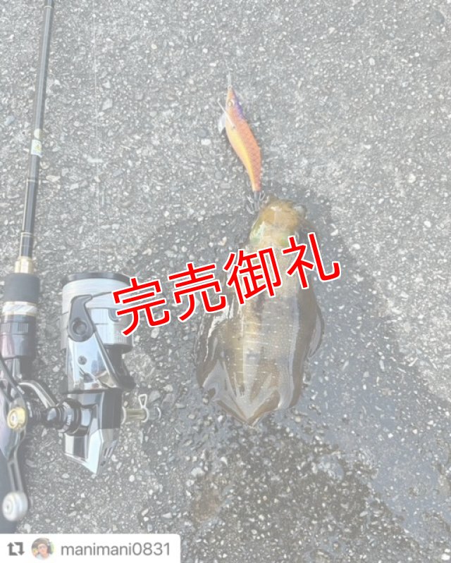 画像6: WILD CHASE 3.0号　アロワナゴールド【特注87works】 (6)