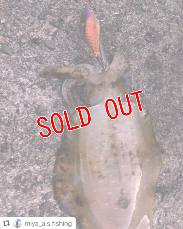 画像8: WILD CHASE 3.5号　アロワナゴールド【特注87works】 (8)