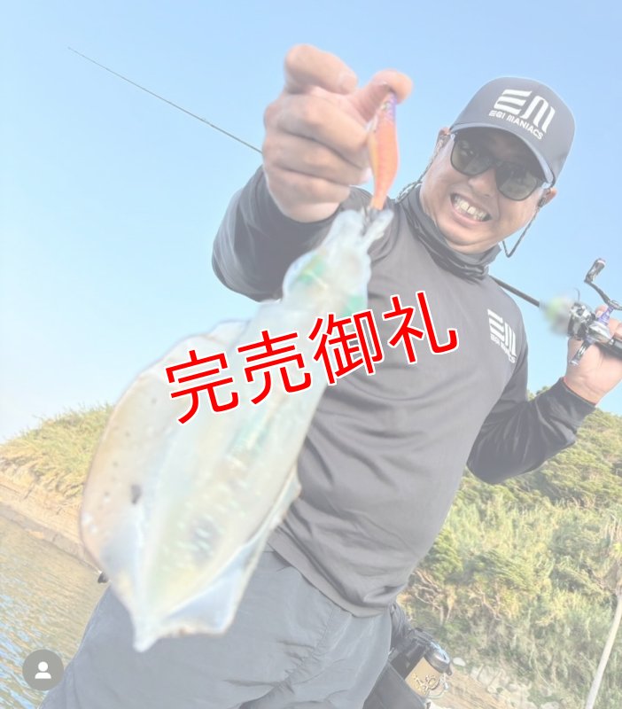 画像5: WILD CHASE 3.0号　アロワナゴールド【特注87works】 (5)