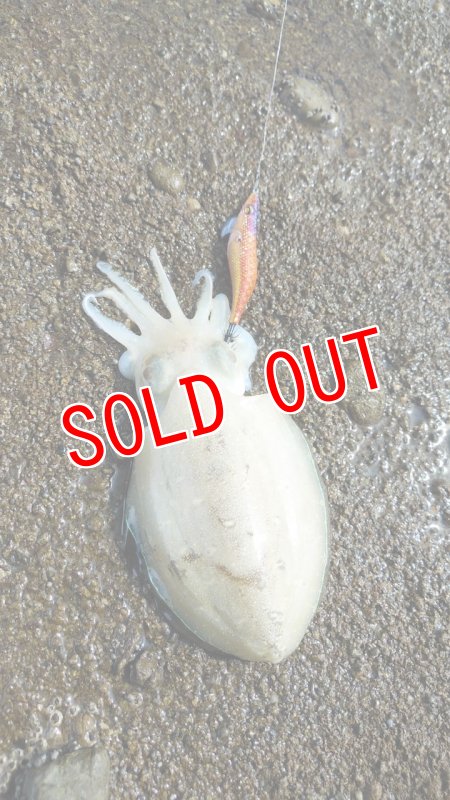 画像10: WILD CHASE 3.5号　アロワナゴールド【特注87works】 (10)