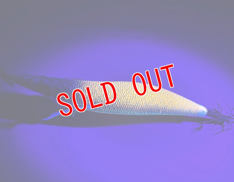 画像3: WILD CHASE 3.5号　アロワナゴールド【特注87works】 (3)