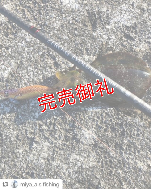 画像7: WILD CHASE 3.0号　アロワナゴールド【特注87works】 (7)