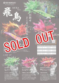 WILD CHASE 特注 - EGING SHOP 87works