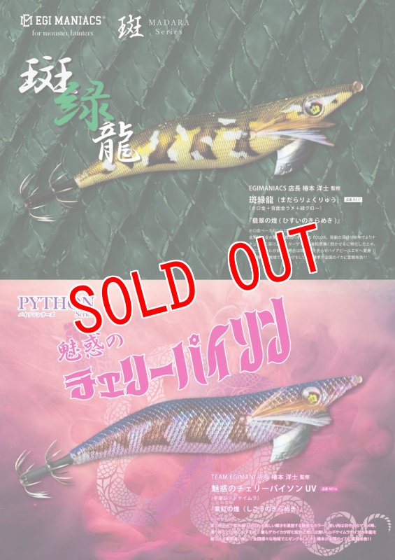画像1: WILD CHASE 3.5号 シャローチューン　EGI MANIACS 特注カラー3本セット (1)